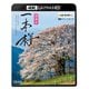日本の一本桜 【4K・HDR】 (ビコム 4K Relaxes) [UltraHD Blu-ray]