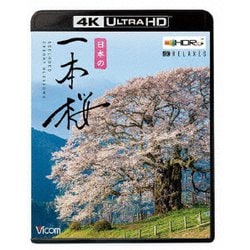 日本の一本桜 【4K・HDR】 (ビコム 4K Relaxes) [UltraHD Blu-ray]