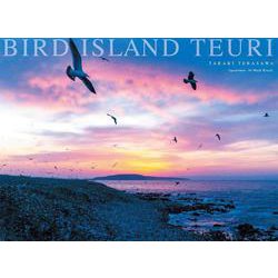 BIRD ISLAND TEURI [単行本]