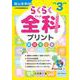 らくらく全科プリント　小学3年生 [単行本]
