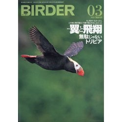 BIRDER (バーダー) 2021年 03月号 [雑誌]