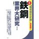 最新 鉄鋼業界大研究 第2版 [単行本]