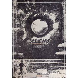 山の人魚と虚ろの王 [単行本]