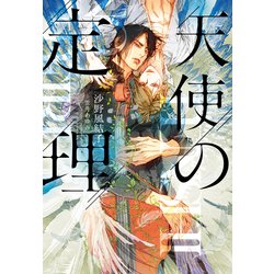 天使の定理(ディアプラス文庫) [文庫]