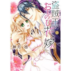 盗賊王のおしのび花嫁 3(ネクストFコミックス) [コミック]