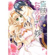 盗賊王のおしのび花嫁 3(ネクストFコミックス) [コミック]