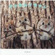 アッカムイちゃん ～北の森のエゾモモンガ～ [単行本]