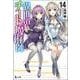 異世界チート魔術師(マジシャン)〈14〉(ヒーロー文庫) [文庫]