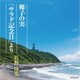 佐野隆光／椰子の実/「サラダ記念日」より