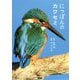 にっぽんのカワセミ [単行本]