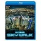 8K空撮夜景 SKY WALK TOKYO/YOKOHAMA (ビコム Relaxes) [Blu-ray Disc]