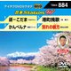 音多Station W [DVD]