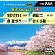 音多Station W [DVD]