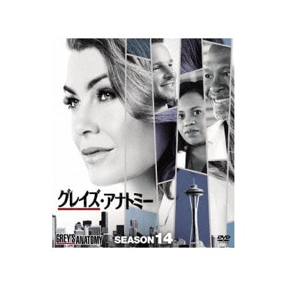 グレイズ・アナトミー シーズン14 コンパクトBOX [DVD]