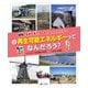 図解 未来を考えるみんなのエネルギー〈2〉再生可能エネルギーってなんだろう？ [全集叢書]