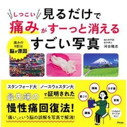 見るだけでしつこい痛みがすーっと消えるすごい写真 [単行本]