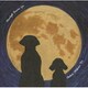 ウラジミール・シャフラノフ・トリオ／ムーンライト・ビカムズ・ユー