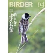 BIRDER (バーダー) 2021年 04月号 [雑誌]