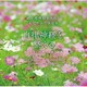 自律神経を整える～やすらぎの時間へと誘う音楽