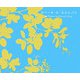 ロベール・ル・エロとパリ [単行本]
