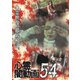 心霊闇動画54 [DVD]