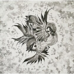 FLOW／United Sparrows