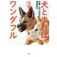 犬と歩けばワンダフル―密着!猟犬猟師の春夏秋冬 [単行本]