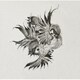 FLOW／United Sparrows