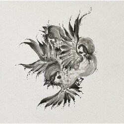 FLOW／United Sparrows
