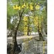 山と渓谷 2021年 05月号 [雑誌]