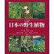 フィールド版 日本の野生植物〈1〉ソテツ科～コミカンソウ科 改訂新版 [図鑑]
