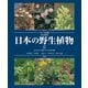 フィールド版 日本の野生植物〈2〉ミゾハコベ科～スイカズラ科 改訂新版 [図鑑]