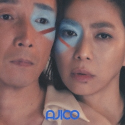 AJICO／接続