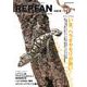 REP FAN Vol.14(サクラムック) [ムックその他]