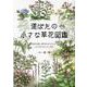 道ばたの小さな草花図鑑-お散歩や通勤・通学の時に見つけられる、小さな花たちをイラストで紹介（ブティック・ムック No. 1542） [ムックその他]