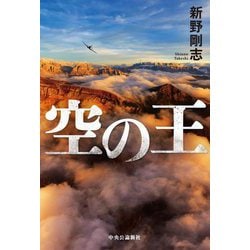 空の王 [単行本]
