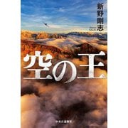 空の王 [単行本]