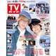 週刊 TVガイド 関東版 2021年 4/30号 [雑誌]