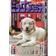 ビッグコミックオリジナル 2021年 5/20号 [雑誌]