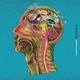 SEKAI NO OWARI／scent of memory