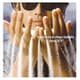 浜田省吾／The History of Shogo Hamada "Since 1975"