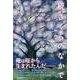 さくらのなかで 続 [単行本]
