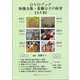 映像全集・斎藤公子の保育【全６巻】［一般版］－DVDブック [単行本]