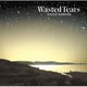 浜田省吾／WASTED TEARS