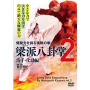 DVD 梁派八卦掌2 岱手・化勁編 [磁性媒体など]