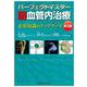 パーフェクトマスター脳血管内治療 第3版 [単行本]