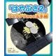 「はやぶさ2」リュウグウからの玉手箱 [単行本]