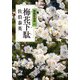 梅花下駄―照降町四季〈3〉 [単行本]