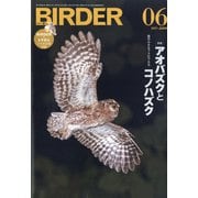 BIRDER (バーダー) 2021年 06月号 [雑誌]