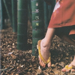スピッツ／花鳥風月+